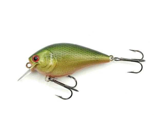 Tinca 9cm